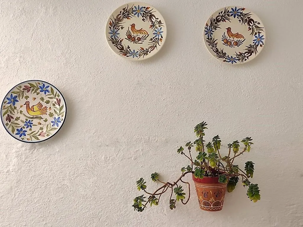 Casa Santa Rita Centro Holiday home